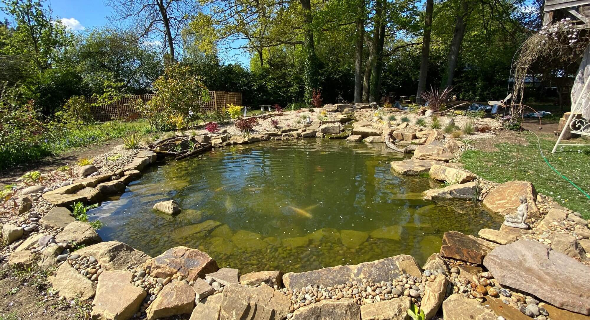 eco pond / koi - lagden - wickford