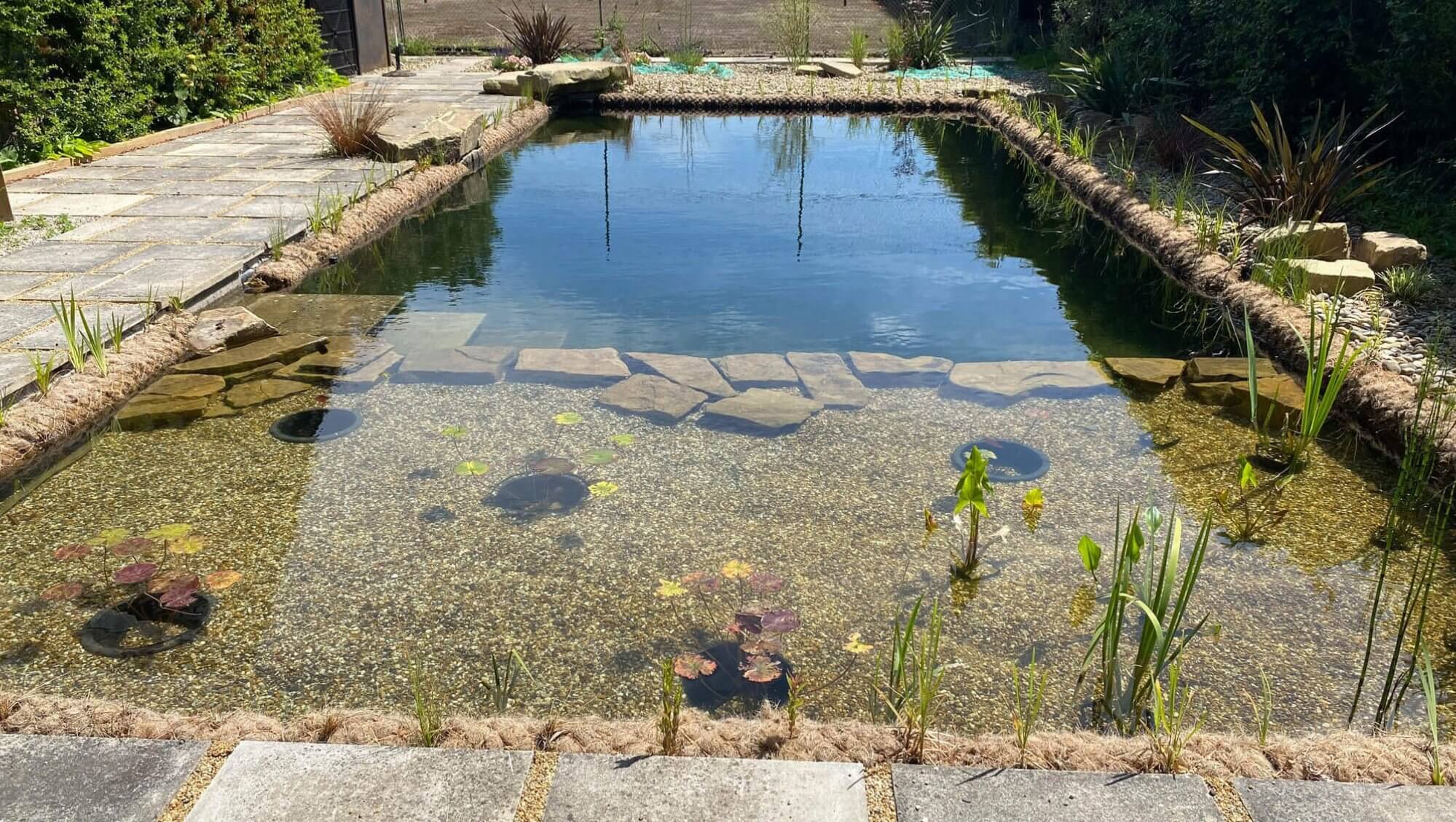 swim pond from pool - penny - oldham