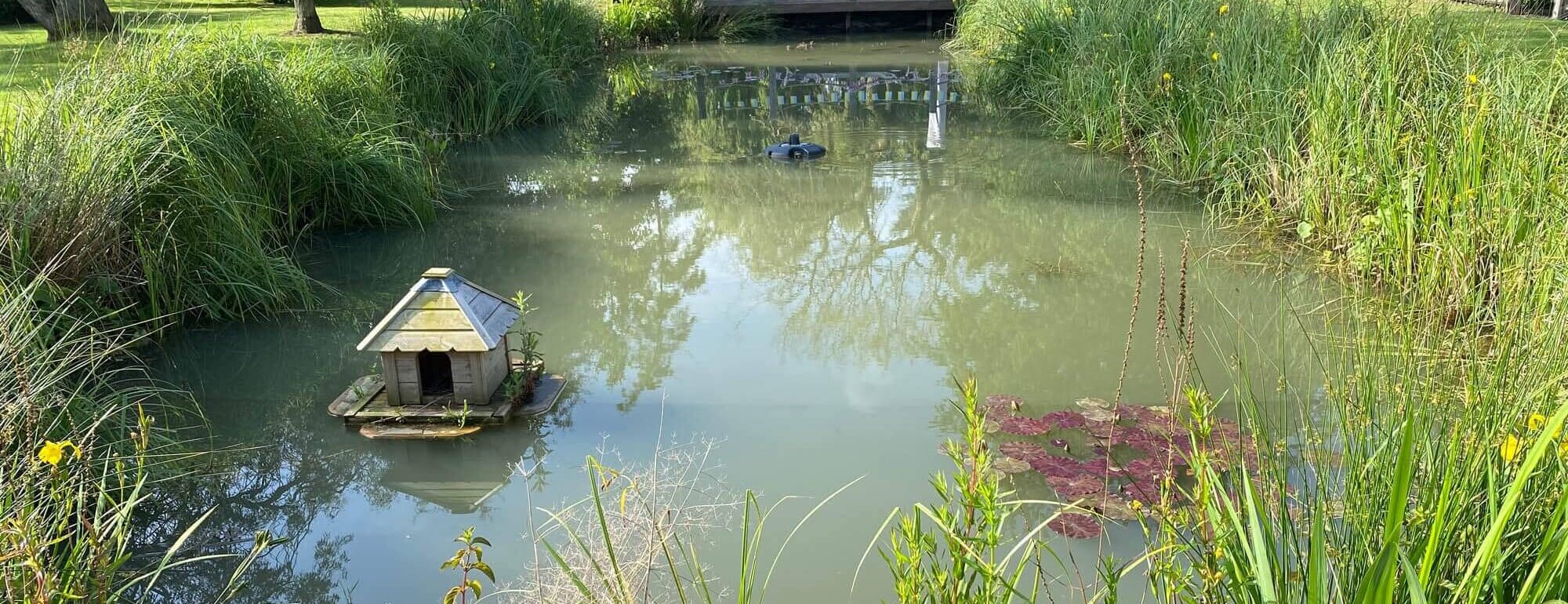 lake management erosion control