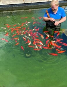 pond maintenance